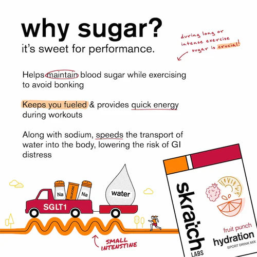 Skratch Hydration Fruit Punch 440g