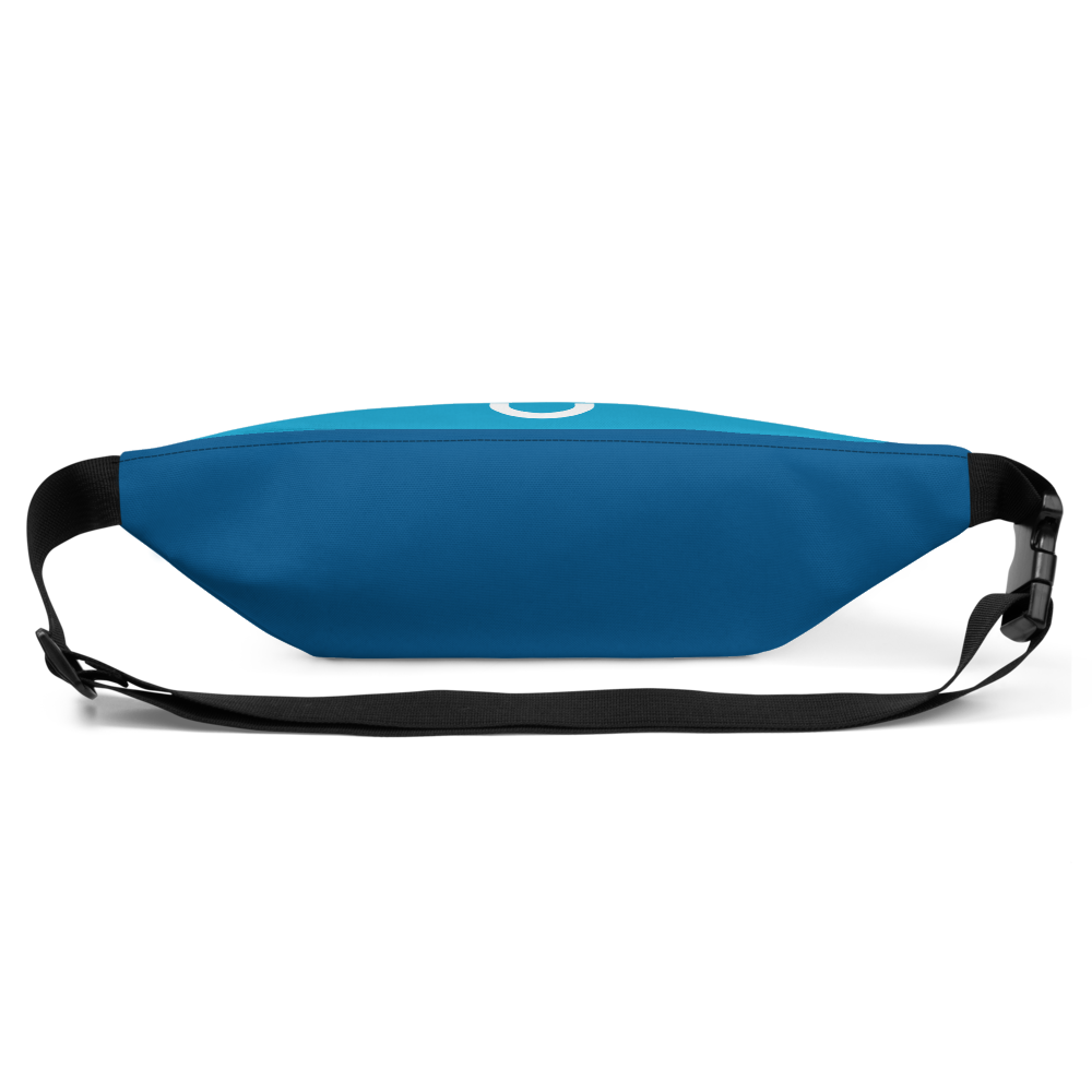 Waist Pack - Tones